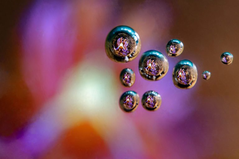 Грибное место. Как избавиться от микозов в горле и ушах? Грибное место. Как избавиться от микозов в горле и ушах?